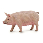 Figūrėlė kiaulė Collecta (M), 88863