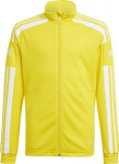 Vaiki&scaron;kas džemperis Adidas Squadra 21 geltonas GP6453