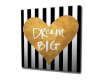 Reprodukcija Dream big