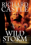 Wild Storm: A Derrick Storm Novel