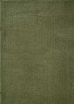 Narma kilimas Eden 160x240 cm