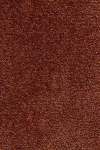 Narma kilimas Eden 300x400 cm