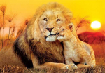 Dėlionė su liūtais Clementoni Unexpected Hug, 29785, 180 d.