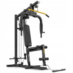 Daugiafunkcinis treniruoklis Trex Sport TX-450HG