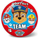 Kamuolys Star Paw Patrol (Boys), 23 cm