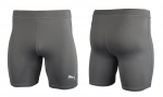 &Scaron;ortai vyrams Puma Liga Baselayer Short Tight 655924 17, pilki