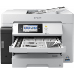 Daugiafunkcis spausdintuvas Epson