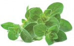 Click & Grow SGR31X3