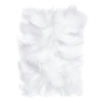 Plunksnos 5-12 cm, 10 g, baltos