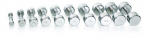 Svarmuo Gymstick Pro Chrome, 1 vnt.