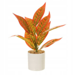 Dirbtinis augalas Aglaonema