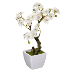 Dirbtinė orchidėja vazone