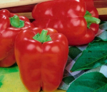 Paprikos Barborka