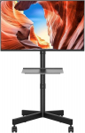 TV laikiklis Bontec TV Stand, 23" - 55"