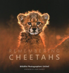 Remembering Cheetahs, Remembering Cheetahs