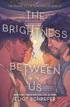 The Brightness Between Us, The Brightness Between Us