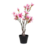 House Nordic dirbtinis augalas Magnolia