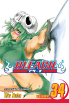 Bleach, Vol. 34: King of the Kill 11th, Vol. 34