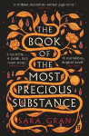 Book of the Most Precious Substance: Discover this year's most spellbinding quest novel Main
