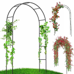 Sodo arka Sweet Summer 240 cm