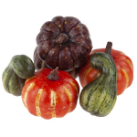 Dekoracija Moliūgai, 6 vnt.