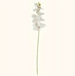 Dirbtinis gėlės stiebas Orchidėja