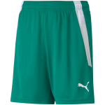 Vaiki&scaron;ki &scaron;ortai Puma teamLIGA Shorts Jr žali 704931 05