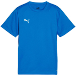 Vaiki&scaron;kas mar&scaron;kinėlis Puma TeamGoal Jersey, mėlynos spalvos, 658637 02