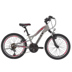 Vaiki&scaron;kas dviratis Bisan BUFFALO Light Grey/Black/Red (ratų dydis: 24", rėmo dydis: 12")