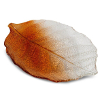 Stiklinis lapo formos padėklas 35x24x3 cm oranžinis &ndash; SAVA, 35 x 24 x 3 cm