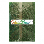 Stikliniai apvalūs karoliukai (biseris) Nr. 6/0 RainBow&reg; 500 g, spalva 7