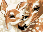 Pie&scaron;imo rinkinys pagal skaičius Bambi 30x40