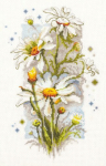 Siuvinėjimo rinkinys Magic Needle "White Daisies" 100-103