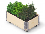 Gėlių lysvė su ratukais Herbs Box, 600 x 400 x 195 mm