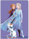 Disney Frozen pledas, 100x140 cm