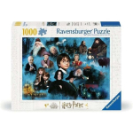 Dėlionė - RAVENSBURGER - Kerlingojo pasaulio Harry Potter - 1000 dalių - 70 x 50 cm - Antirefleksinė