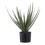 Dirbtinis augalas - Aloe Vera, 51 cm, Žalias