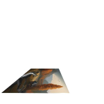 Rudeninio Vaizdo Kilimas, 79 * 118 colių / 200 * 300 cm