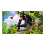 Kompiuterinis žaidimas Zoo Tycoon Xbox One vokiečių