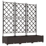 Sodo Vazonas su Treliu 3 vnt Rudas 120x40x125.5 cm CFE33506