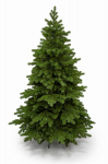 Dirbtinė kalėdinė eglutė tatra fir 100% pe, 200 cm