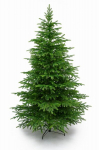 Dirbtinė kalėdų eglutė virpol beskid spruce, 225 cm, 100% pe, su metaliniu stovu