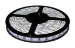 LED juosta 3m CW