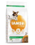 Iams For Vitality suaugusiems mažų ir vidutinio dydžio veislių &scaron;unims su ėriena, 12 kg