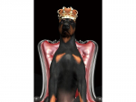 Reprodukcija Glass Picture Dog in Crown DOGINCROWN80, 80x120 cm