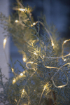 &Scaron;viesos grandinė &bdquo;Rasos la&scaron;ai&ldquo; 200 LED &scaron;ilta balta, ilgis 20m, vidaus / lauko, IP 44