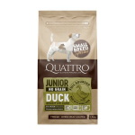 Quattro Small breed Junior sausas begrūdis maistas mažų veislių &scaron;unims su antiena, 1.5kg