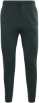 Kelnės vyrams Reebok Ri Left Leg Jogger HJ9956, XL