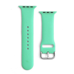 Silikoninė apyrankė Apple Watch 2-9/SE 38/40/41mm, mėtų spalvos