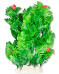 Folijos augalas 20cm 2f24 Happet
